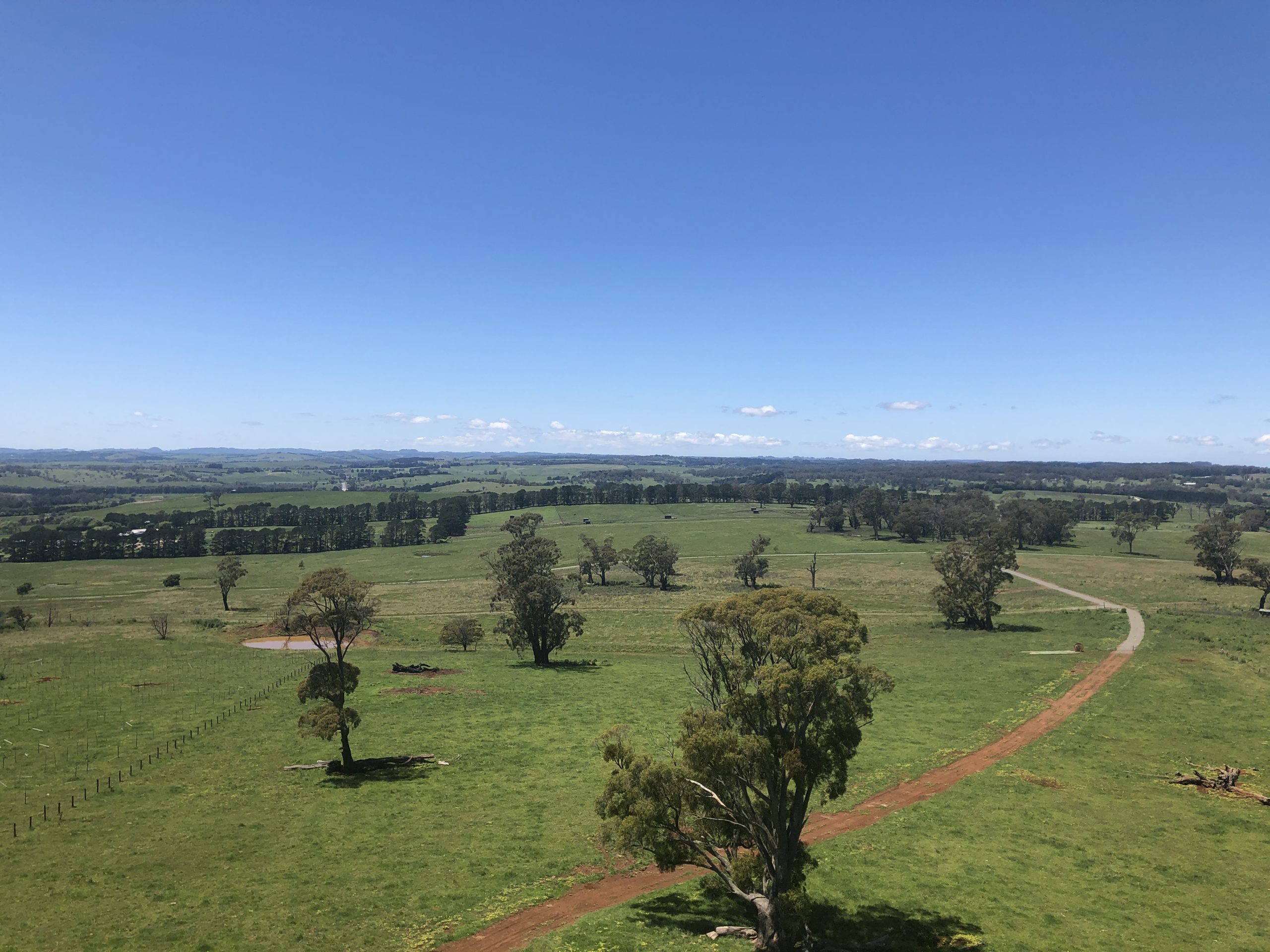 Improved digital connectivity for Canyonleigh, Penrose and Sutton Forest